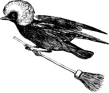 More Nonsense, Pictures, Rhymes, Botany, etc. (1872), The Rural Runcible Raven