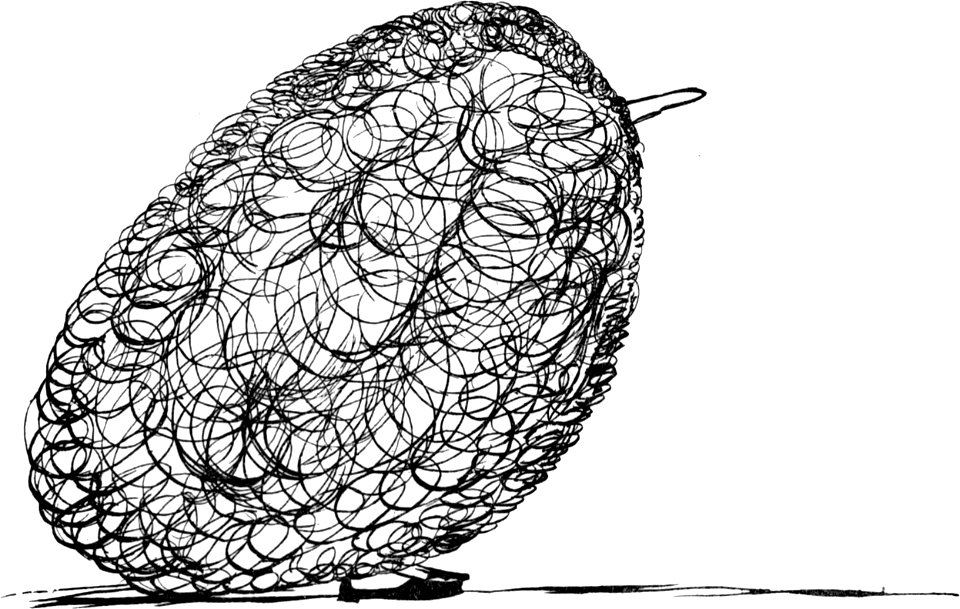 More Nonsense, Pictures, Rhymes, Botany, etc. (1872), There was an old person of Brigg