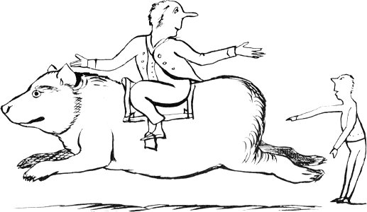 More Nonsense, Pictures, Rhymes, Botany, etc. (1872), There was an old person of Ware