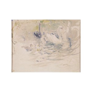 Morisot - CYGNES