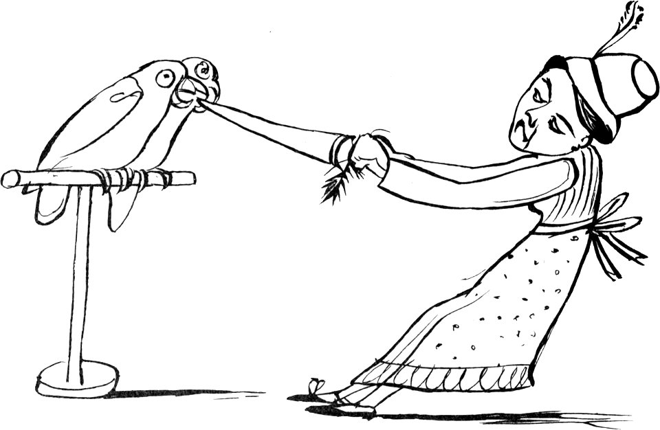 More Nonsense, Pictures, Rhymes, Botany, etc. (1872), There was an old person in gray