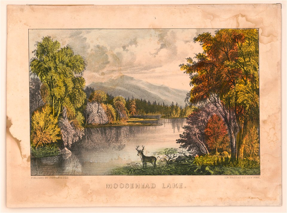 Moosehead Lake LCCN95514577