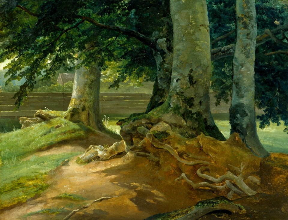 Buchen - Frederiksdal bei Kopenhagen (1828)