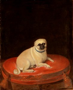Mops - Nationalmuseum - 15498
