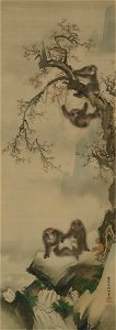 Mori Sosen - Monkey - 1952.40.13 - Yale University Art Gallery