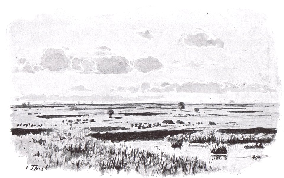 Moorlandschaft bei Neumünster