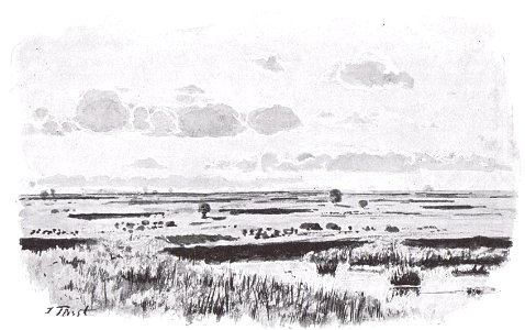 Moorlandschaft bei Neumünster