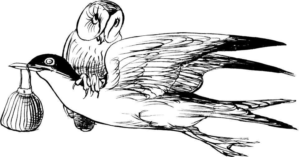 More Nonsense, Pictures, Rhymes, Botany, etc. (1872), The Goodnatured Grey Gull