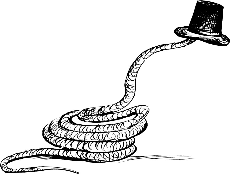 More Nonsense, Pictures, Rhymes, Botany, etc. (1872), The Scroobious Snake