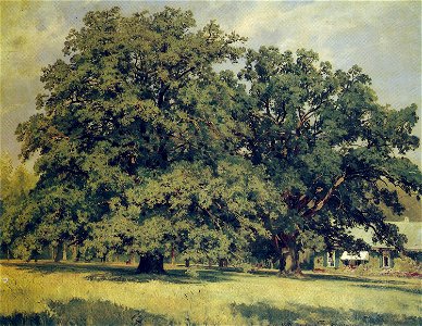 Mordvinovo oaks by Iwan Shihkin 1891
