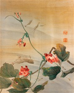 Mori Kansai - Arrowroot Vine, Shrimp, and Fish - 2001.16E - Rhode Island School of Design Museum