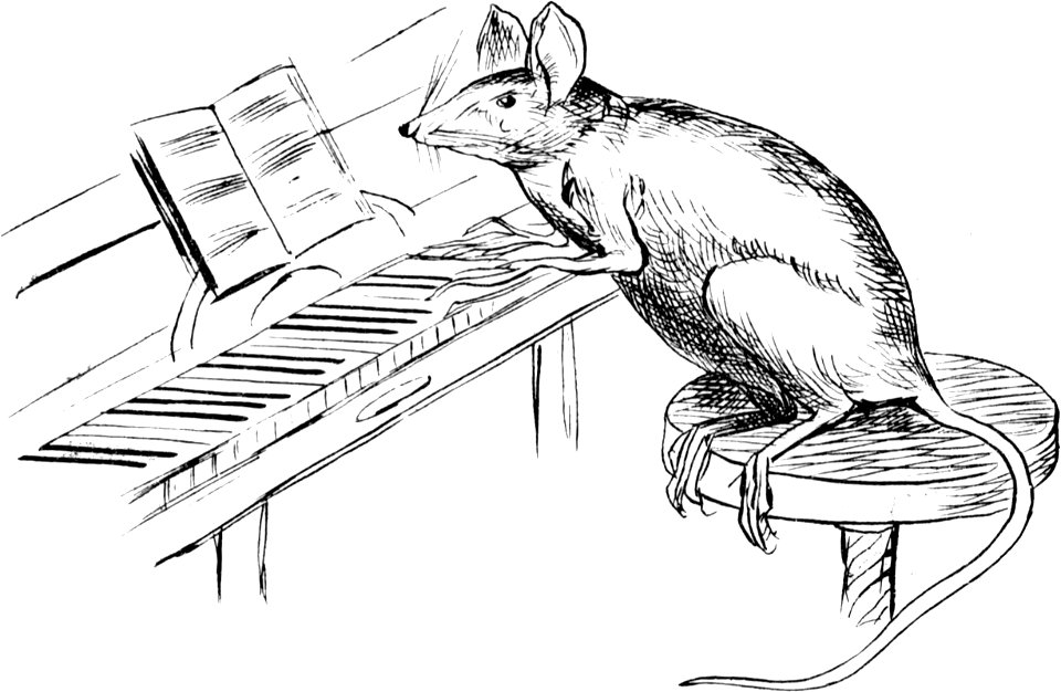 More Nonsense, Pictures, Rhymes, Botany, etc. (1872), The Melodious Meritorious Mouse