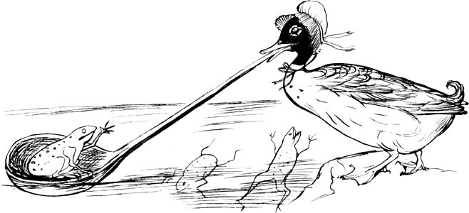 More Nonsense, Pictures, Rhymes, Botany, etc. (1872), The Dolomphious Duck