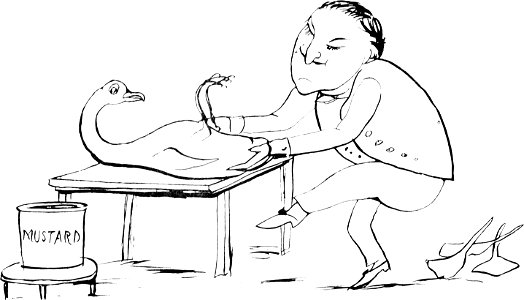 More Nonsense, Pictures, Rhymes, Botany, etc. (1872), There was an old person of Florence