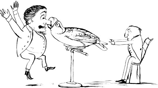 More Nonsense, Pictures, Rhymes, Botany, etc. (1872), There was an old man of Dunrose