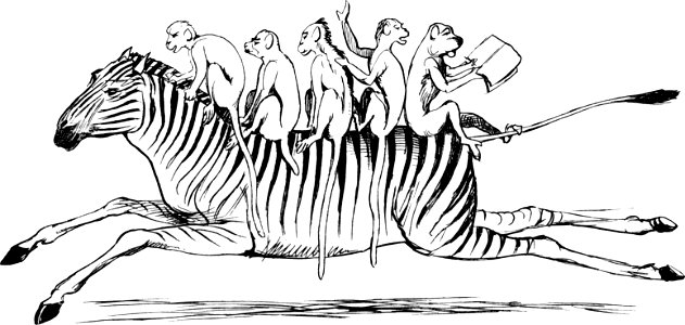 More Nonsense, Pictures, Rhymes, Botany, etc. (1872), The Zigzag Zealous Zebra