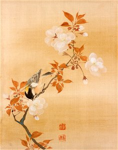 Mori Kansai - Nuthatcher on a Flowering Cherry Tree - 2001.16A - Rhode Island School of Design Museum