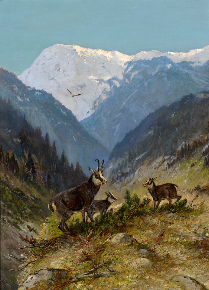 Moritz Müller jr Gamswildrudel 1904