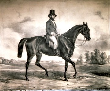 Moritz Sándor Litho
