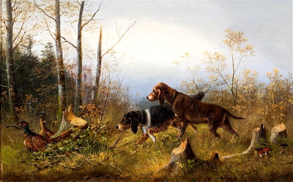Moritz Müller (1841–1899) - Zwei Jagdhunde stöbern Fasane auf