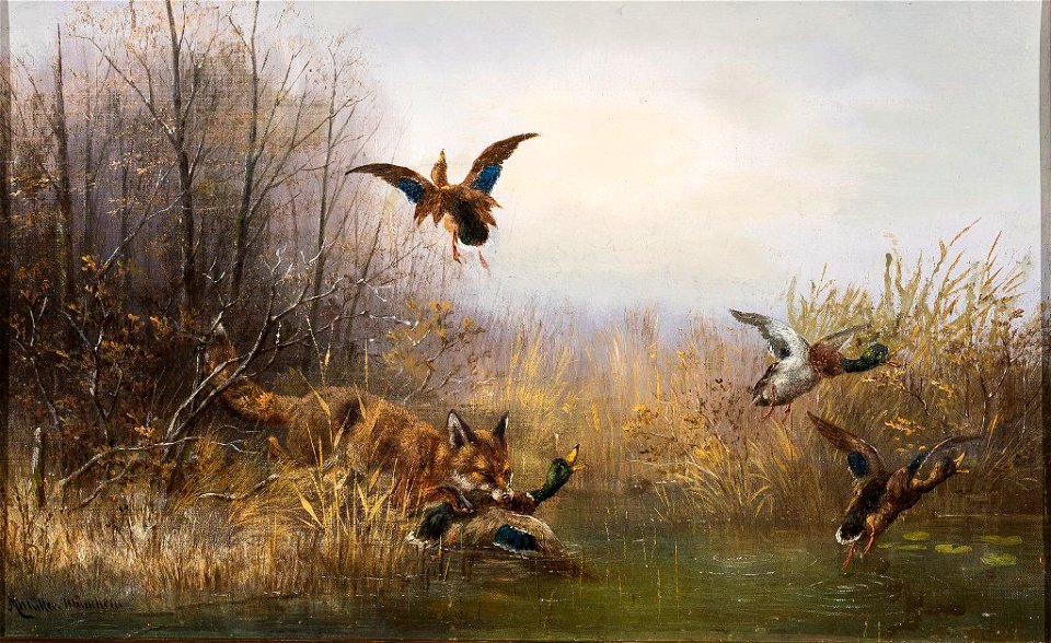 Moritz Müller (1841–1899) - Fuchs fängt eine Wildente am Seeufer