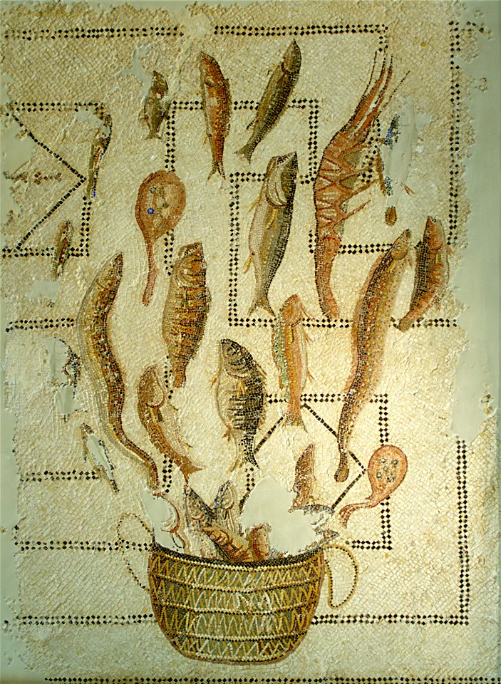 Mosaique des poissons au musée de Sousse, septembre 2013