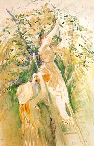 Morisot - the-cherry-tree-study