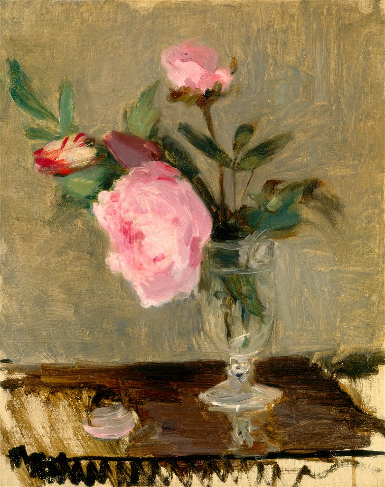 Peonies E10759