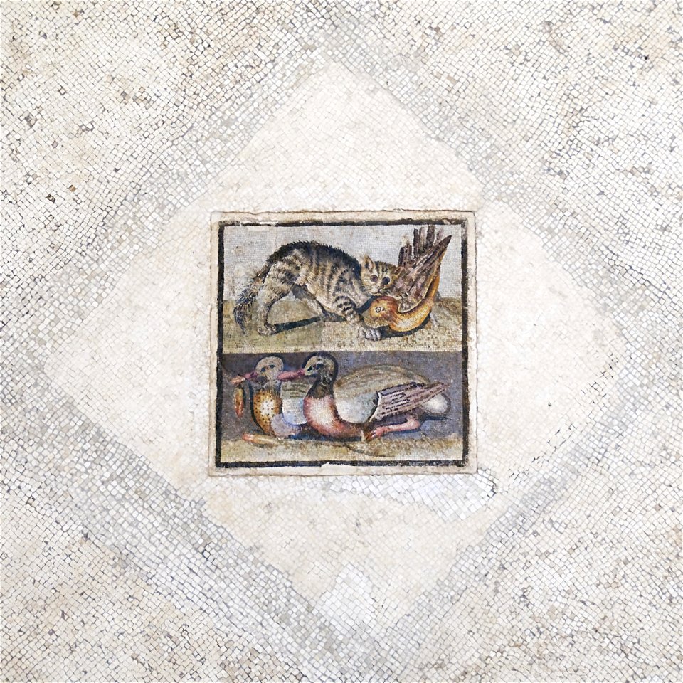 Mosaic cat ducks Massimo Inv124137 n2