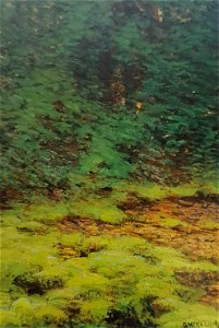 Mossorna x Gerda Wallander 1860-1926