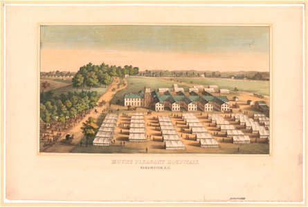 Mount Pleasant Hospitals, Washington, D.C. LCCN92506173