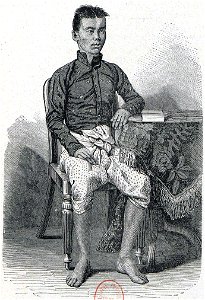 Mouhot - Voyage dans les royaumes de Siam, de Cambodge, de Laos et autres parties centrales de l'Indo-Chine, éd. Lanoye, 1868, planche 14