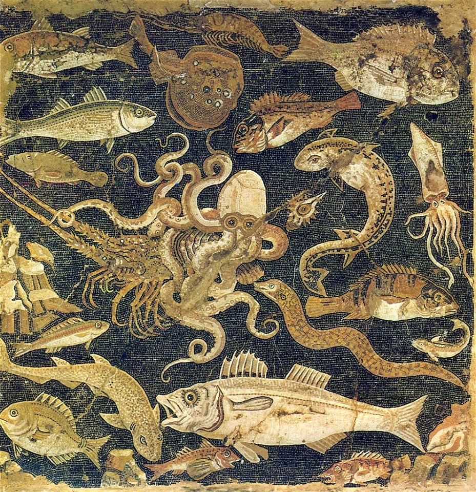 Mozaïek-uit-woonhuis-Pompei
