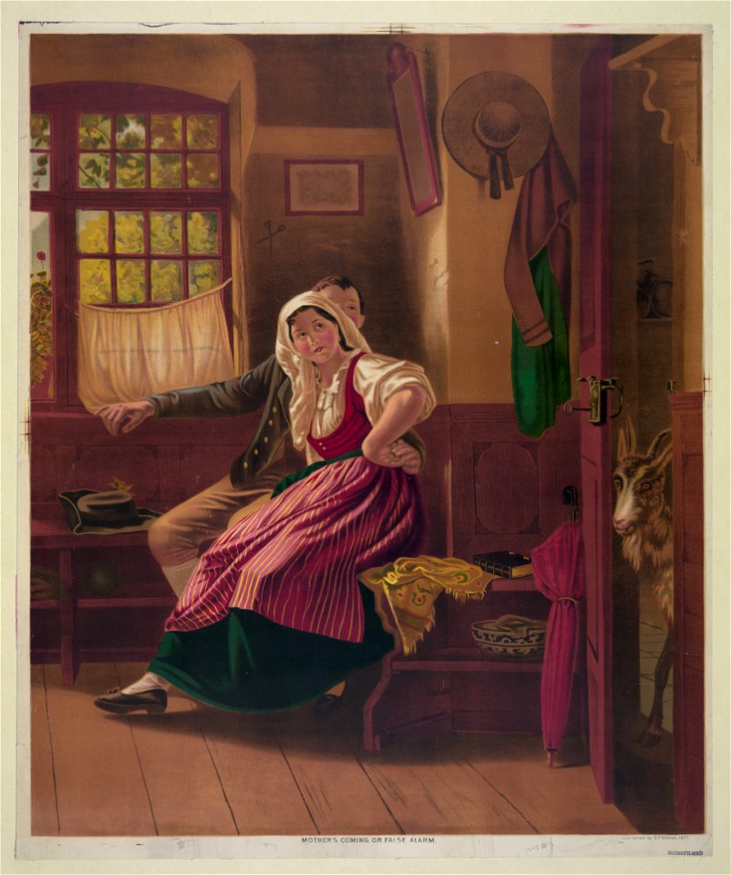 Mother's coming, or false alarm LCCN2003688622