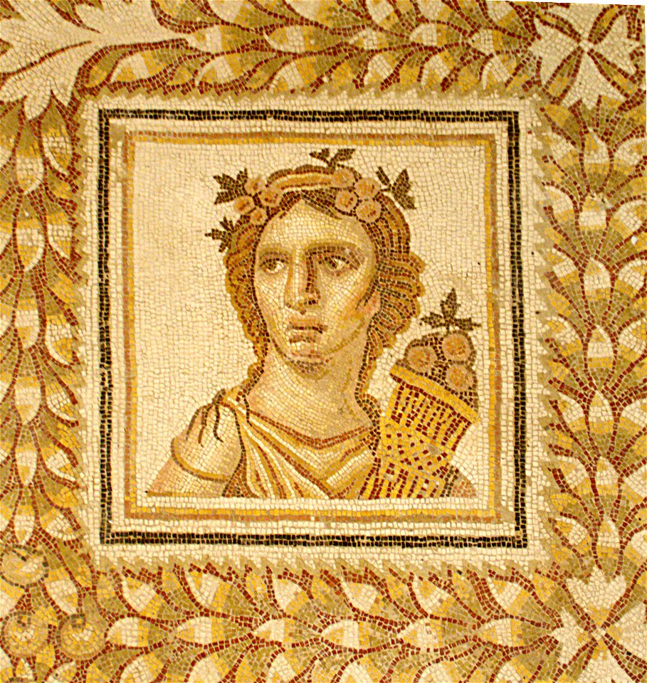 Mosaique au musée de Sousse, septembre 2013, (01)