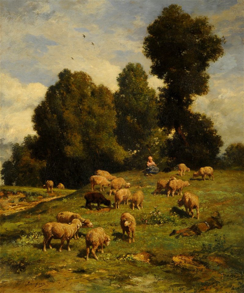 Moutons au pâturage - Charles Jacque
