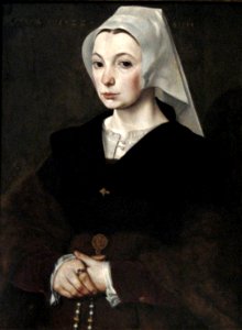 Portrait of a young woman by The Master of the 1540s, oil on oak panel, 1541, Art Gallery of New South Wales. Free illustration for personal and commercial use.