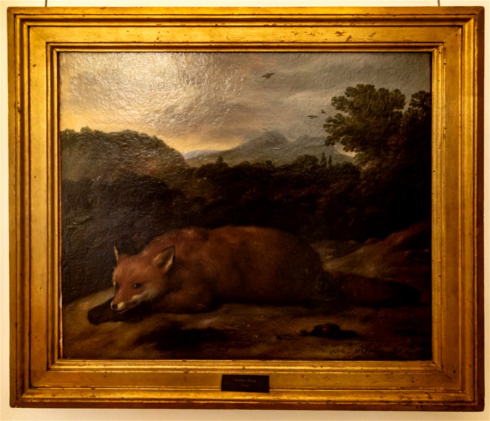 Matheus Bloem-Fuchs-4861