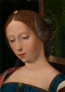 Master of the Female Half-Lengths - A Female Head (National Gallery London)