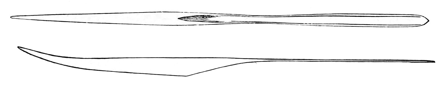 Mastigoteuthis agassizii gladius