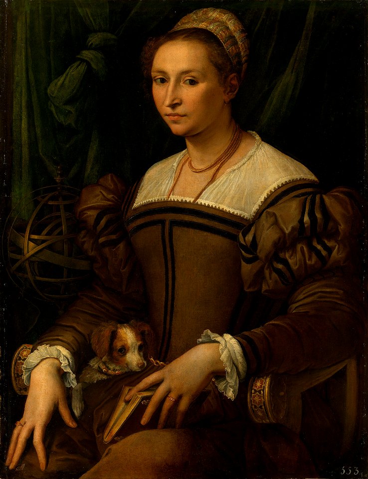 Master of the Jacquemart-André Lutenist (mid 16th century) - Portrait of a Lady with a Dog - RCIN 405773 - Royal Collection