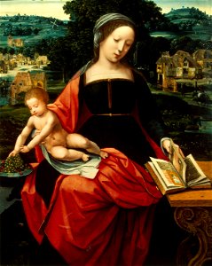 Master Of Female Half-Length - Madonna and Child - WGA14387
