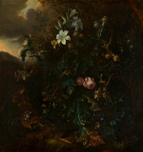 Mathias Withoos (Amersfoort 1627-Hoorn 1703) - Flowers with Insects - RCIN 404578 - Royal Collection