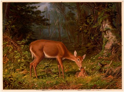 Maternal love - A.F. Tait, N.Y., 1868. LCCN97518977