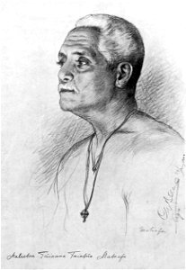 Mataafa by C. W. Allers, 1900
