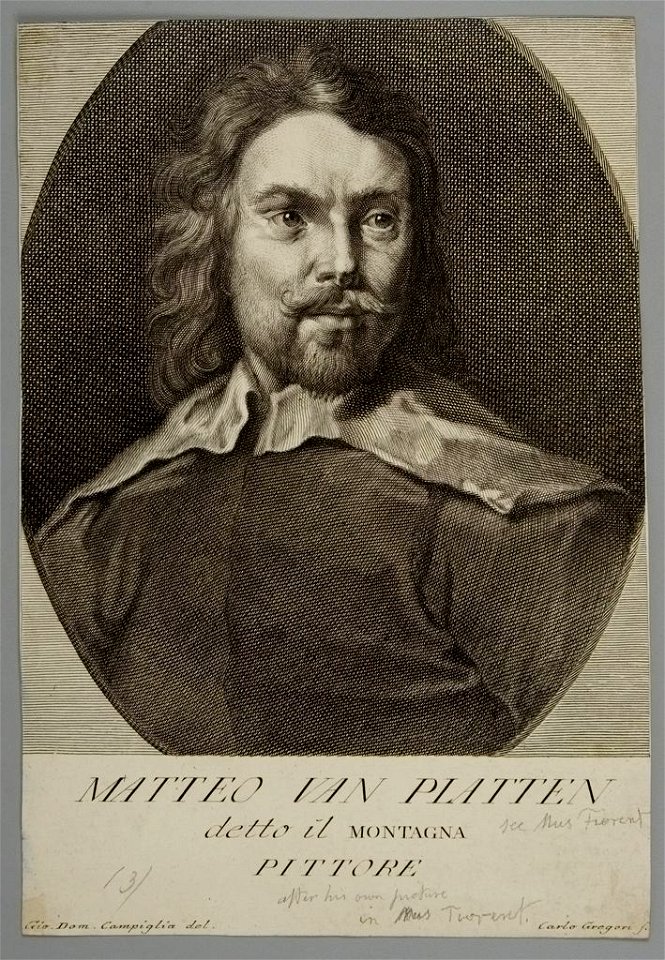 Matteo van Platten, called il Montagne