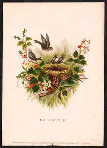 Matthew VIII, 20 LCCN2016651895