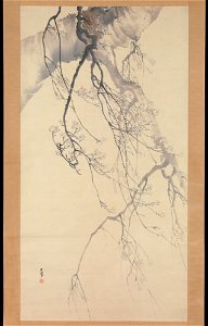 Matsumura Goshun - Cherry Blossoms - 1975.268.77 - Metropolitan Museum of Art