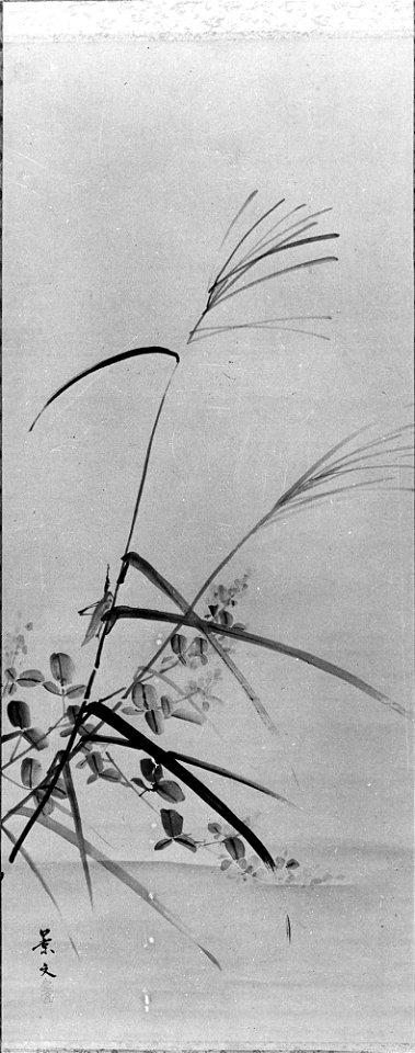 Matsumura Keibun - Bush Clover, Grass and Cricket - 36.100.37 - Metropolitan Museum of Art