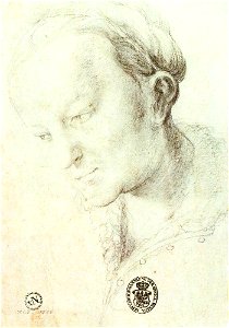 Matthias Grünewald - Head of a Young Woman - WGA10820